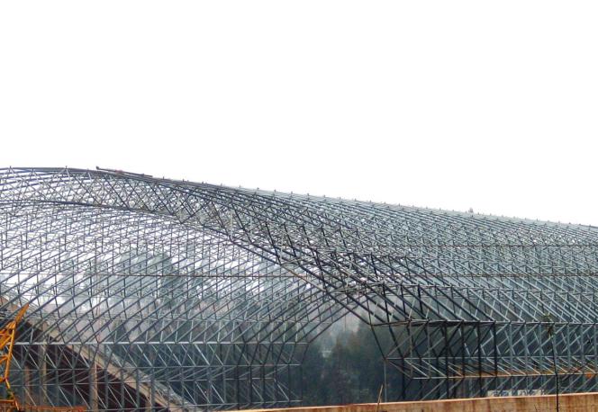 東駿水泥有限公司粉砂巖預均化堆場、原煤預均化堆場螺栓球節點拱形頂大型網架